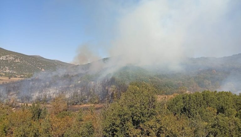 burdurda orman yangini ekipler olay yerinde LSp2B58l