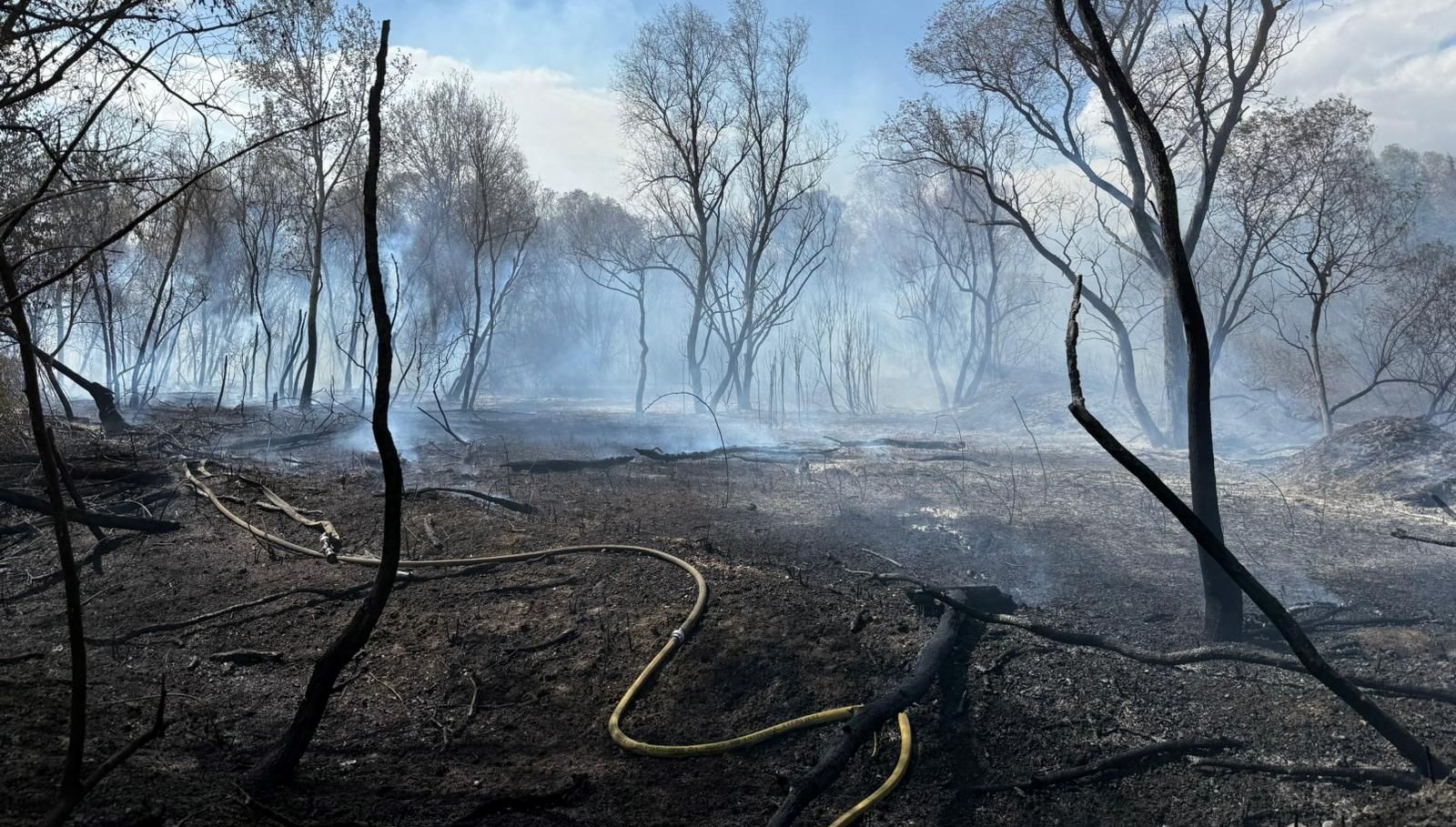 buyukcekmecede otluk alanda yangin 3T8Qm6Mx