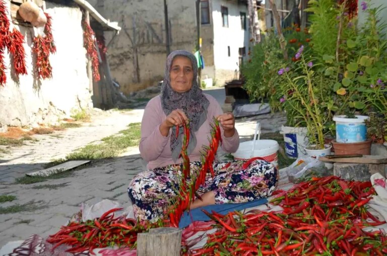 cukurorenin kirmizi altini 160 yillik biber uretimi NL3MrRVM
