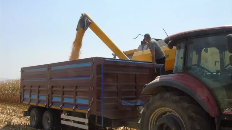 gaziantepte misir hasadi basladi OPRalTpf