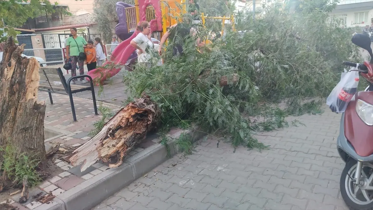 ruzgar devrilen agac altinda 2 kadin yaralandi hqlMZKwZ