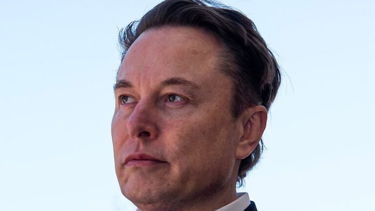 tesla ceosu elon musktan yeniden afdye destek CAr8E8uF