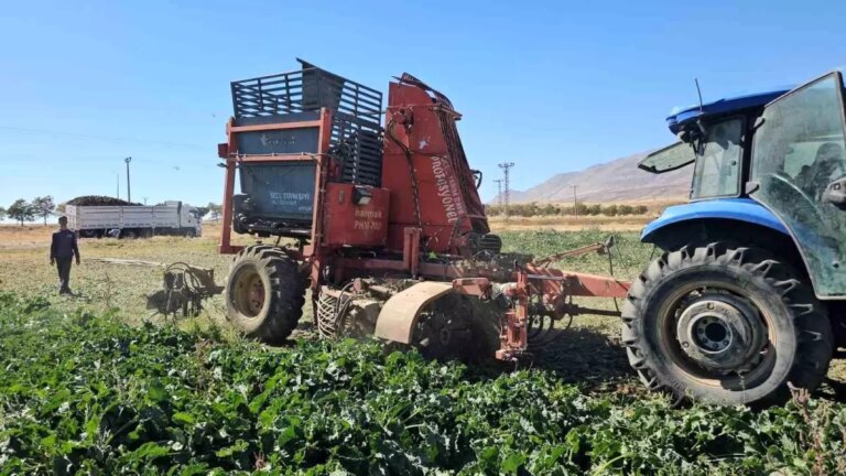 adilcevazda seker pancari hasadi basladi GcaKGCqV