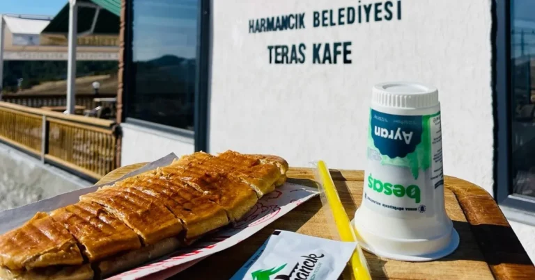 bursa harmancikta sosyal belediyecilik farki ZmLfpGUj