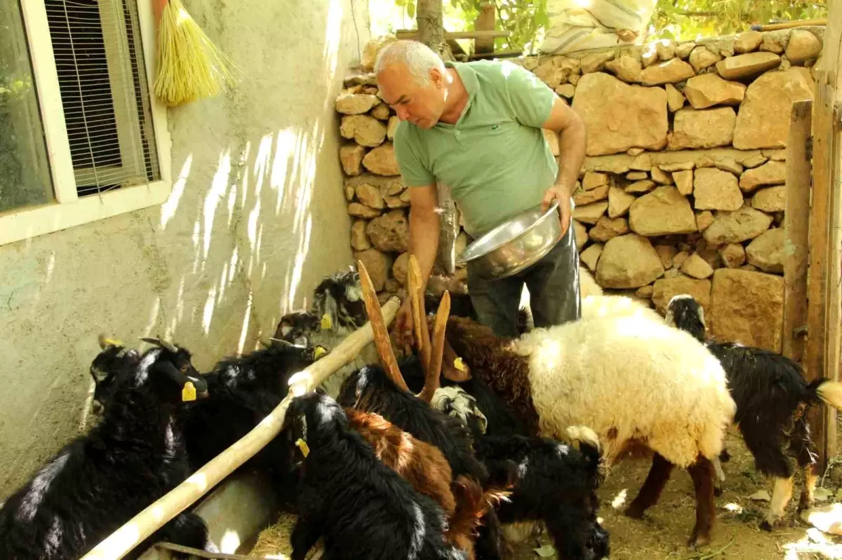 eski hukumlu tahir keskin is kur destegiyle 200 keci surusune ulasti tyOGlLqt.jpg