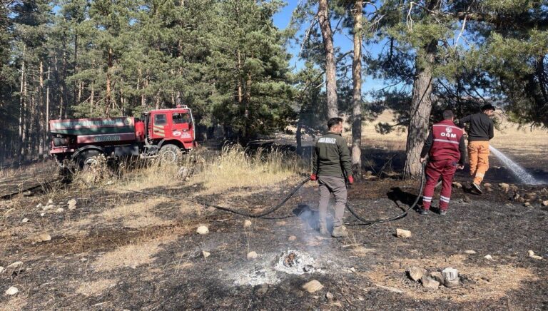 sarikamista cikan orman yangininda yaklasik 1 hektar alan zarar gordu dqTVqDc5