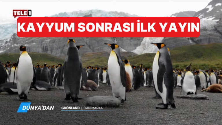 tele1e kayyum atandiktan sonra ilk yayin penguen belgeseli oldu 3BDYHOC7.jpg