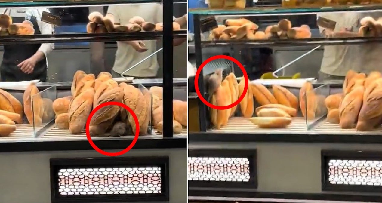 firinda cekilen bu goruntuyu paylasmamasi icin 420 bin lira teklif edildi TjFyeaqz.jpg