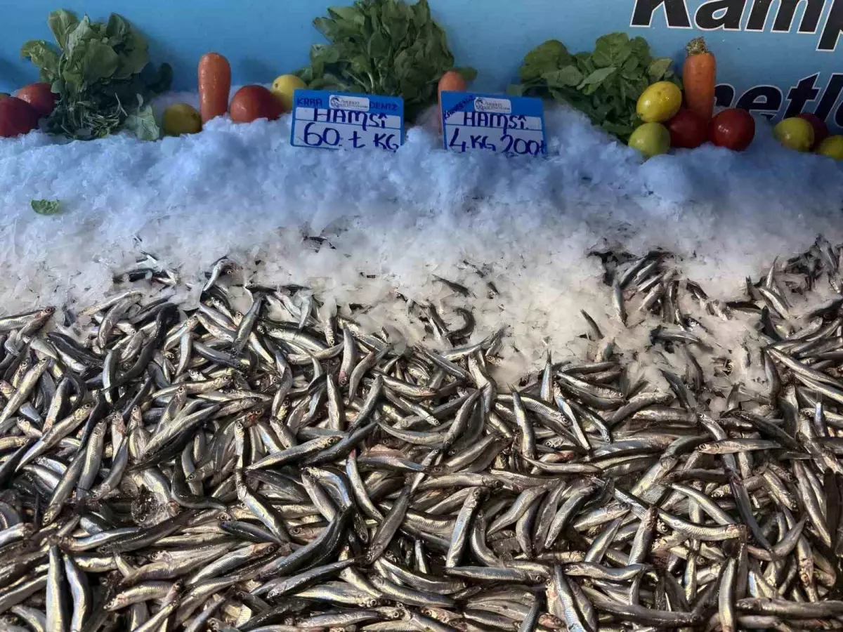 hamsinin fiyati dusmeye devam ediyor LM1meegI.jpg