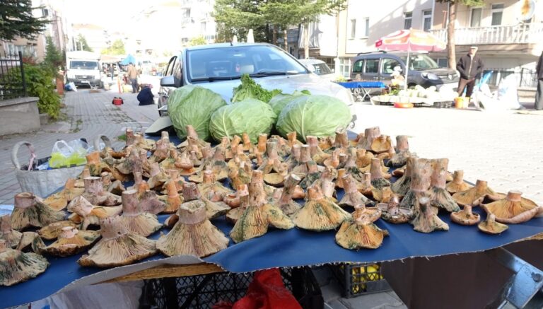 pazar tezgahlarina bereket getirdi kilosu 150 tlden basliyor 6nBWVfMV.jpg