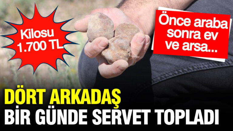 dort-arkadas-bir-gunde-servet-topladi-kilosu-1700-tl-once-araba-sonra-ev-ve-LJLsVLHS