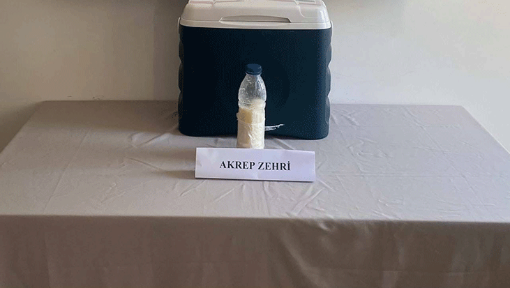 Grami altindan katbekat degerli yalovada milyon dolarlik operasyon otomobilden cikti QECxOnij